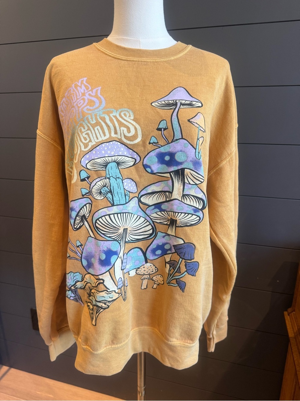 Project Social T Urban Outfitters Mushroom Warm Happy Thoughts Sweatshirt Groovy